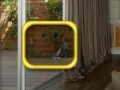 Interior: Hidden Objects