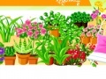 Garden design