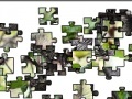 Jigsaw: Raccoons