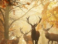 Nature Photography - Find the Numbers