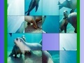Ocean and seals slide puzzle