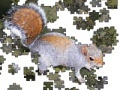 Jigsaw: Posing Squirrel