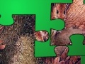 Animal Puzzle