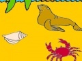 Seal in the beach coloring