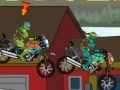 Turtles racing