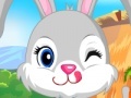 Cute bunny dressup