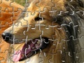 Pet Puzzles: Dogs