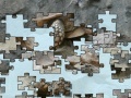 Turtle puzzle