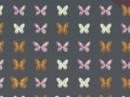 Garden Butterflies Match