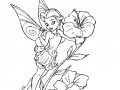 Coloring Tinker Bell -1