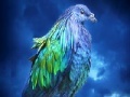 Lovely blue bird slide puzzle