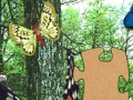 3D Real Puzzle butterfly