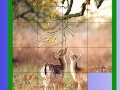 Two Deer Slide Puzzle