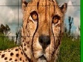 Big head cheetah slide puzzle