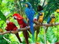 Zoo Hidden Objects 