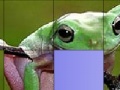 Frog Slide Puzzle