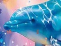 Magic dolphins hidden numbers