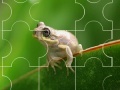 Cute little frog puzzle