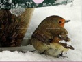 Little Bird And Snow Puzzle 
