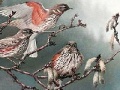 Birds on a tree slide puzzle