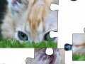 Jigsaw: Cat Hiding