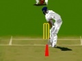 Virtual cricket