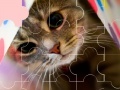 Cat really cute 3 puzzle