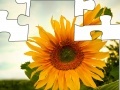 Jigsaw: Sunflower 2