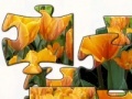 Tulip 2 jigsaw puzzle 