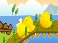 Find My Chicks