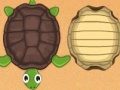 Guess the turtle