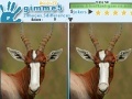 Gimme 5 Wildlife