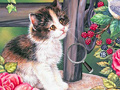 Hidden Numbers Cat