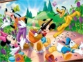 Mickey Garden