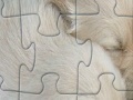 Puppies jigsaw