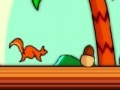 Squirrel squash 2