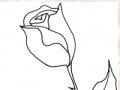 How to Draw a Rose