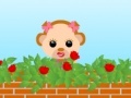 My Love Rose