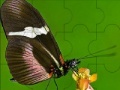 Fantastic butterfly puzzle