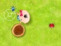 Catch the Insects