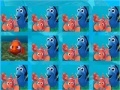 Find Nemo memory matching