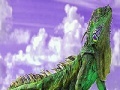 Puzzle: Lizard