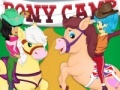 Pony Camp
