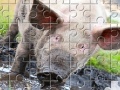 Little Piggy Jigsaw