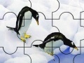 Two penguin in the pole puzzle