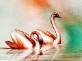 Golden swans slide puzzle