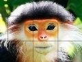 Elderly monkey slide puzzle
