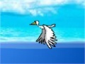 Bird Migration