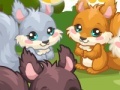 Squirrel Care