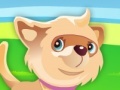 Puppy the Cutest Dog